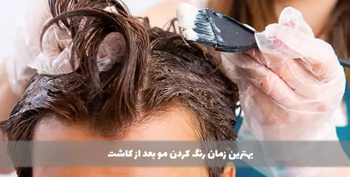 بهترین زمان رنگ کردن مو بعد از کاشت